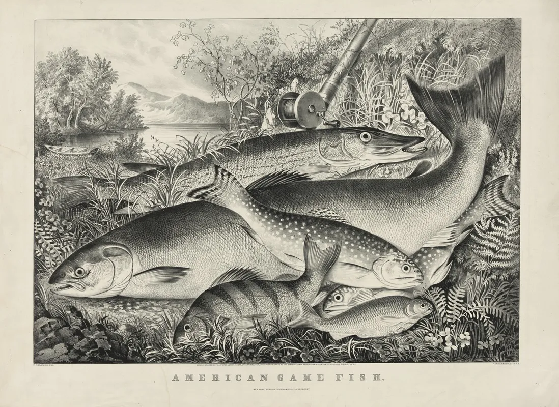 American Game Fish