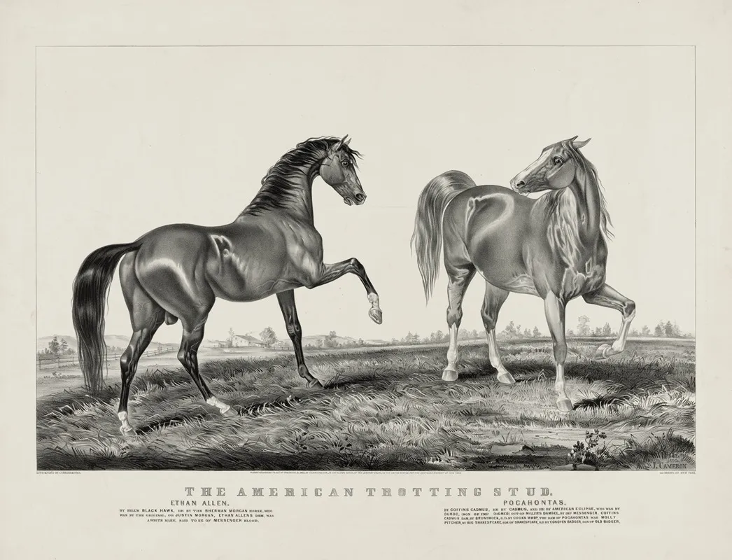 American Trotting Stud Ethan Allen Pocahontas