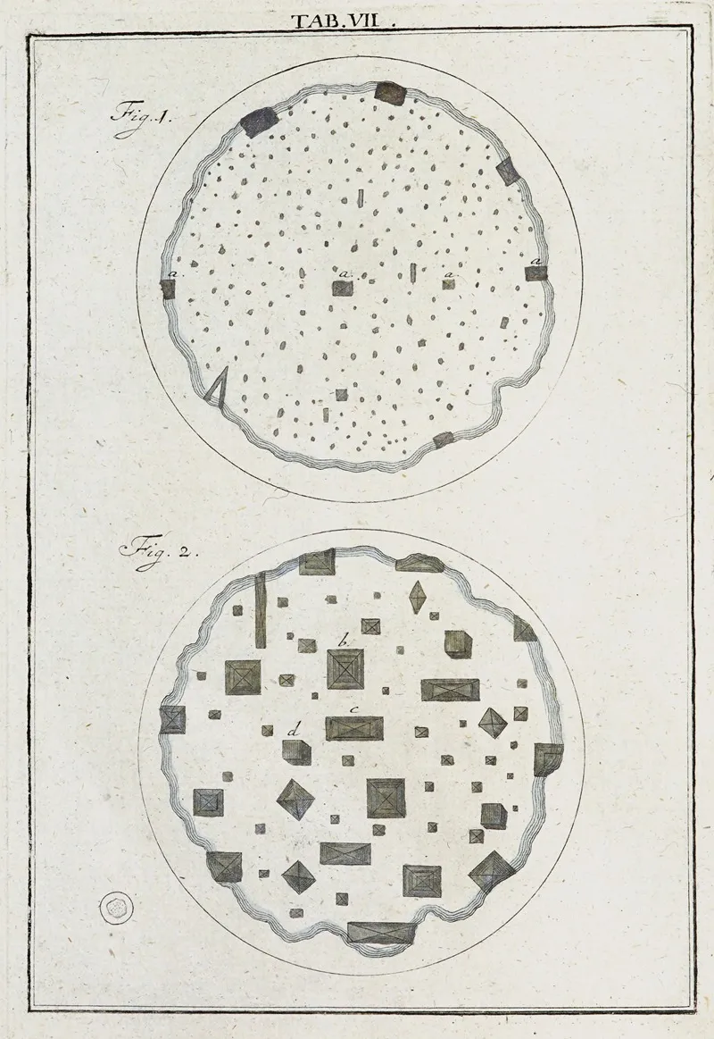 Amusement Microscopique Tant Pour Lesprit Que Pour Les Yeux Pl 008 by Martin Frobenius Ledermüller - Canvas Print