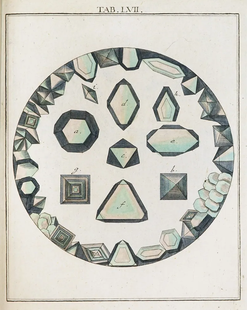 Amusement Microscopique Tant Pour Lesprit Que Pour Les Yeux Pl 057 by Martin Frobenius Ledermüller - Canvas Print