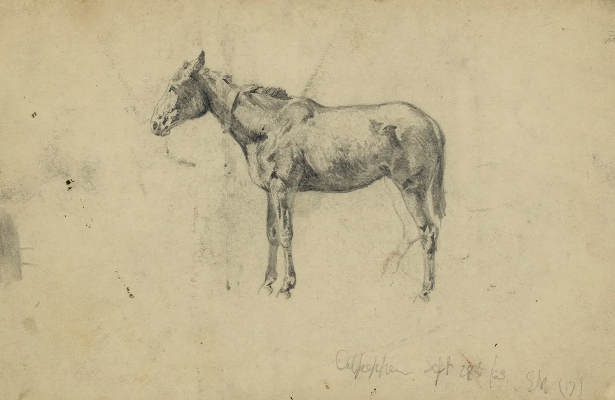 An Army Mule September 28 1863
