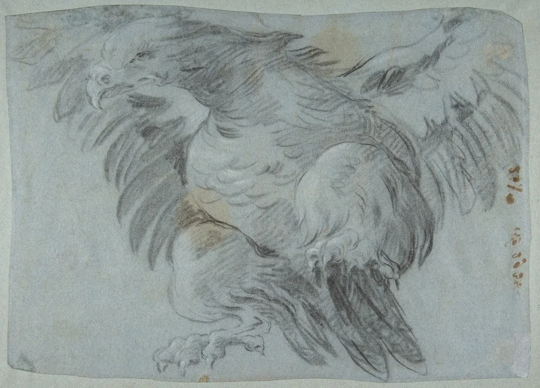 An Eagle With Wings Spread