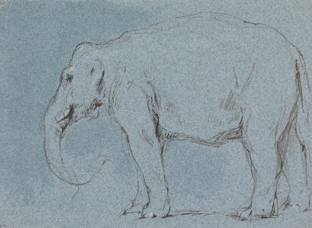 An Elephant 2 by George Jones - Canvas Print