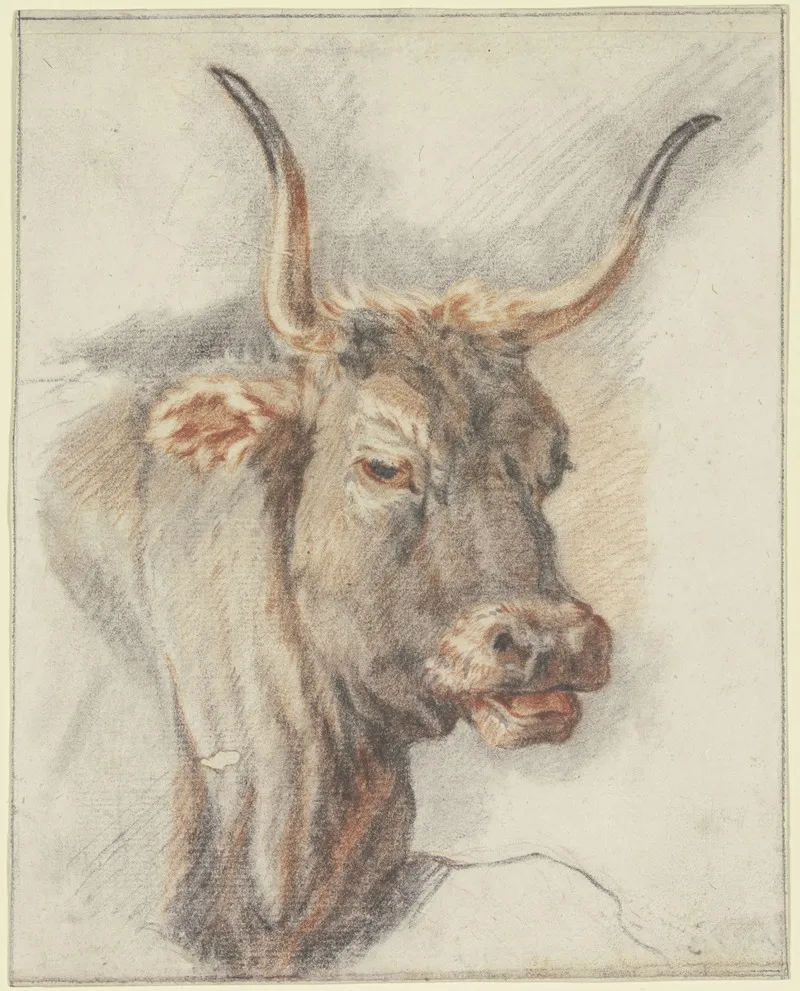 An Ox Head by Paulus Potter - Canvas Print