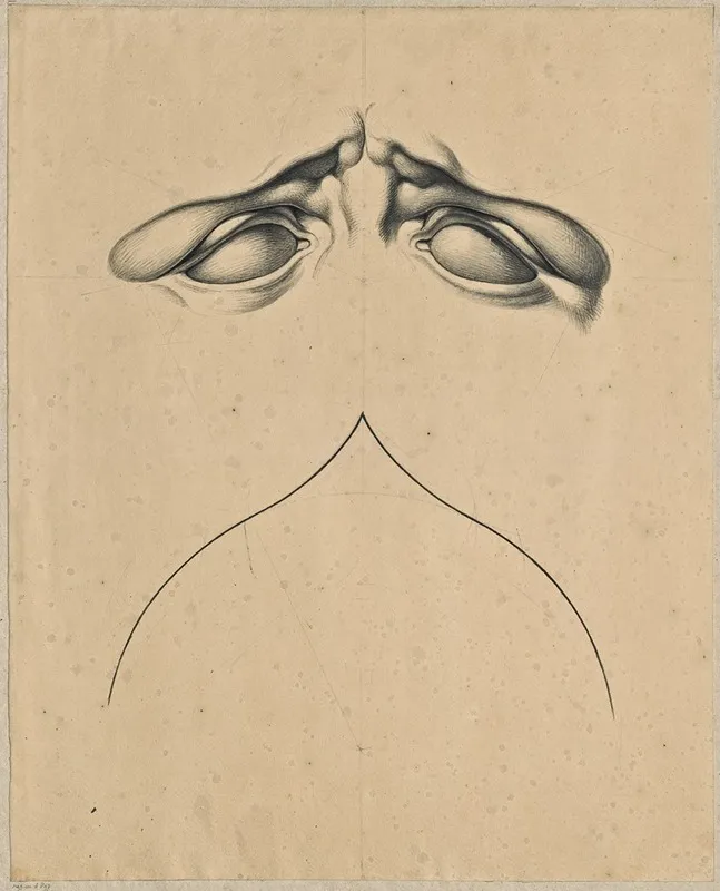 Analogy Between Frowning Eyes Of Laocoons Son And A Gothic Arch