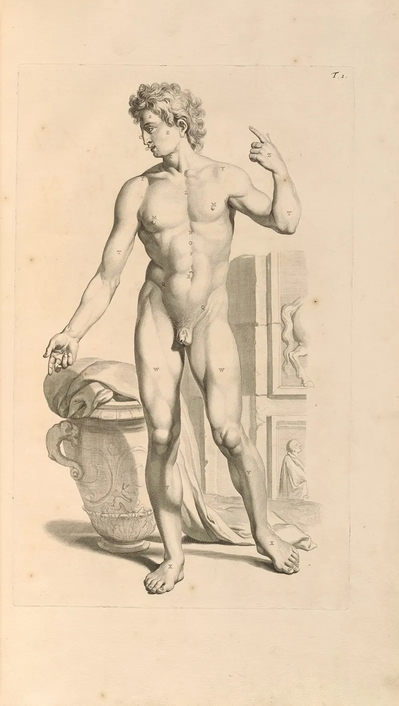 Anatomia Humani Corporis Pl 002