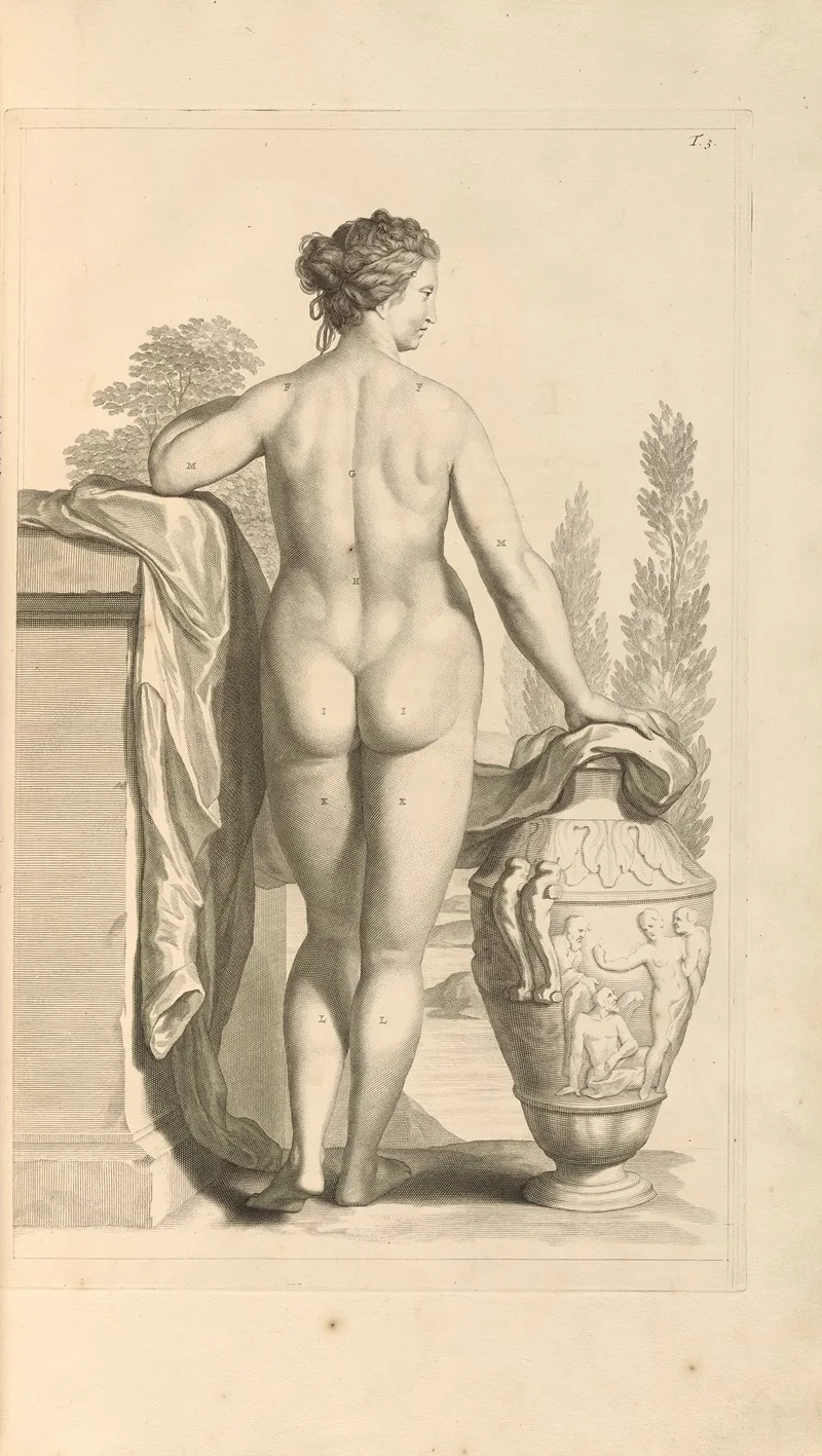 Anatomia Humani Corporis Pl 004