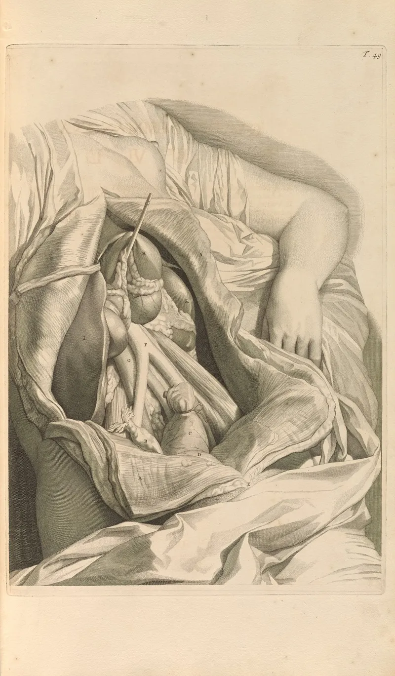 Anatomia Humani Corporis Pl 050
