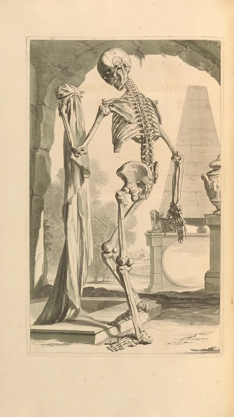 Anatomia Humani Corporis Pl 089
