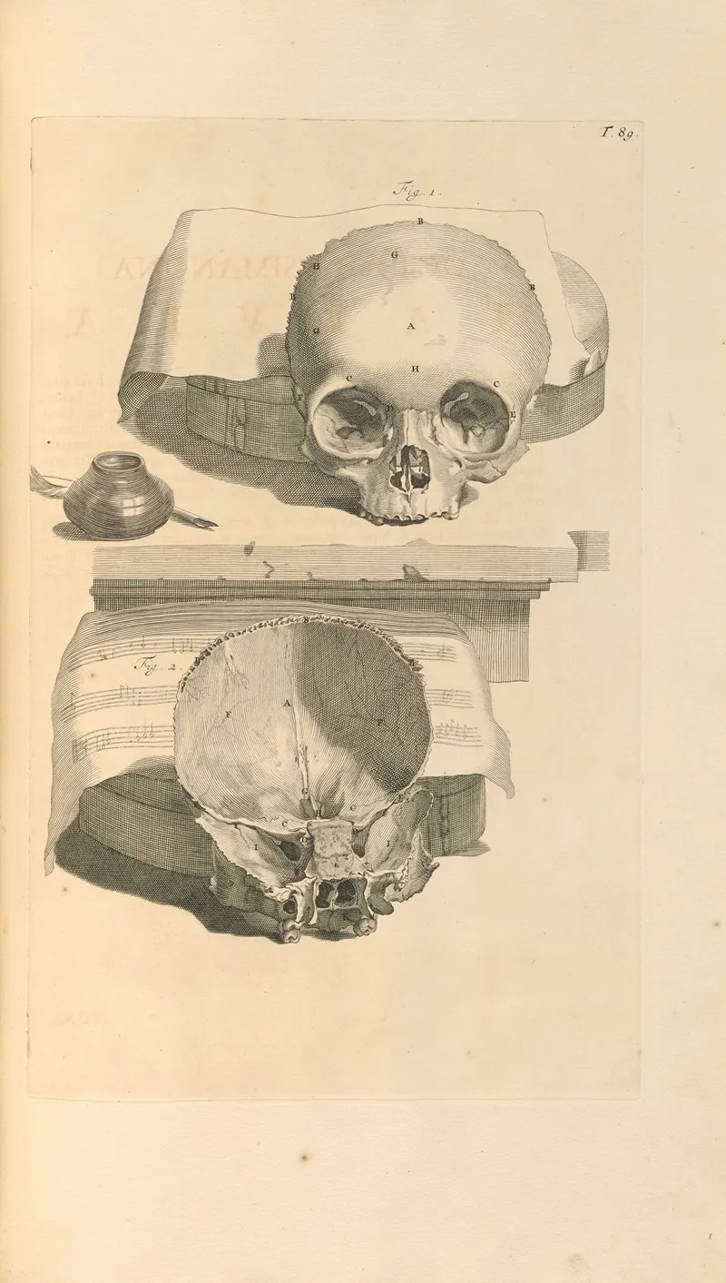 Anatomia Humani Corporis Pl 090