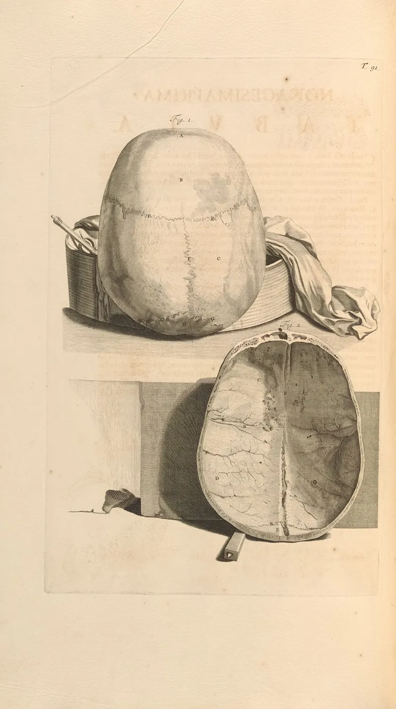 Anatomia Humani Corporis Pl 092