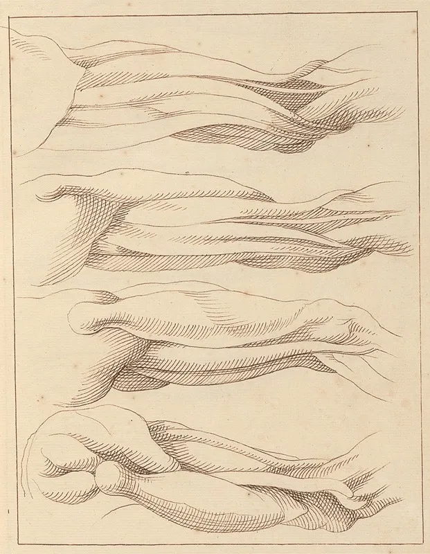 Anatomical Studies Of Legs 2 by Hamlet Winstanley - Canvas Print