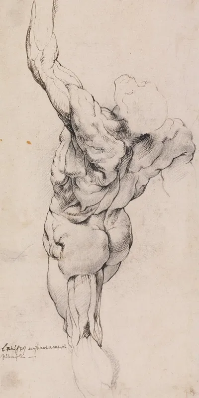 Anatomical Study Ecorche Standing Flayed Man Seen From The Back Half Turned To The Left His Left Arm Raised_ by Willem Panneels - Canvas Print