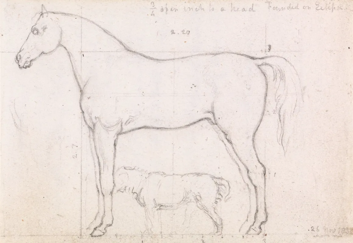Anatomical Study Of A Horse Founded On Eclipse Nov 26 1832