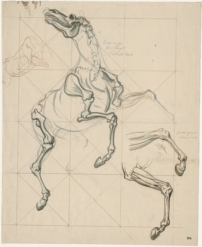 Anatomische Studies V E Steigerend Paard Met Tekst by David Humbert de Superville - Canvas Print