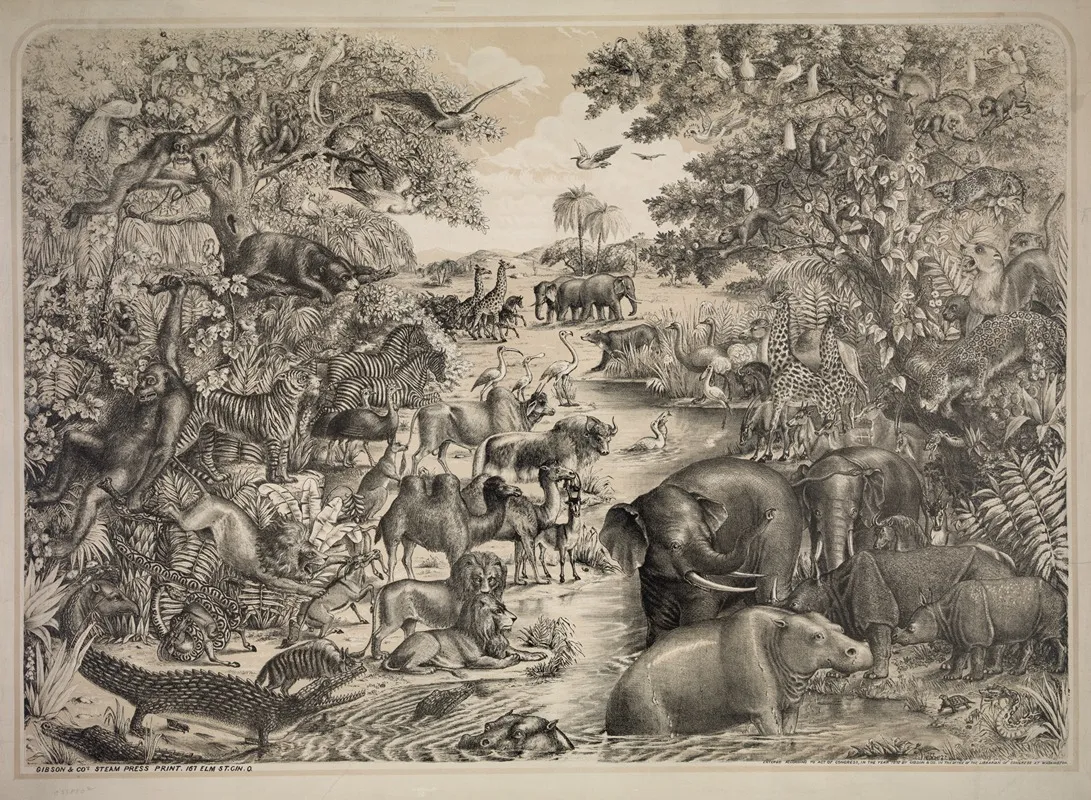 Animals For Noahs Ark