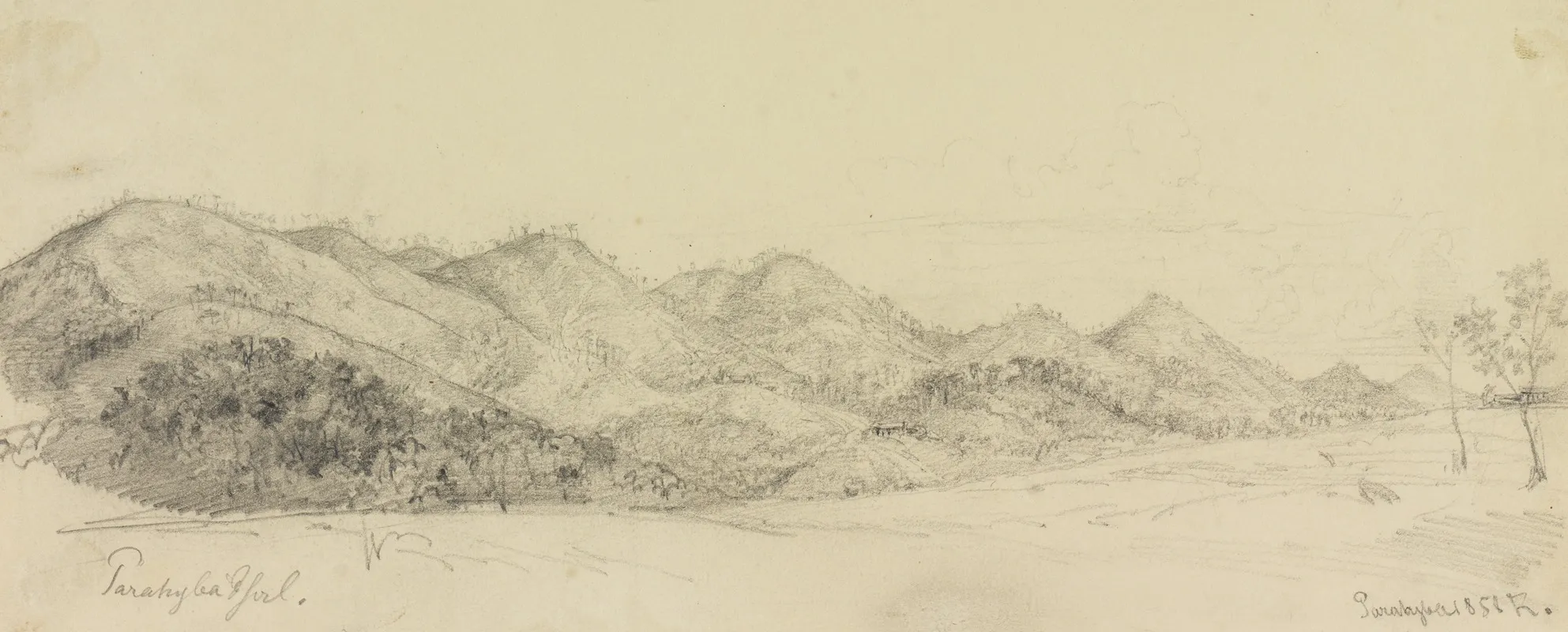 Ansicht Parahybapfad by Ferdinand Keller - Canvas Print