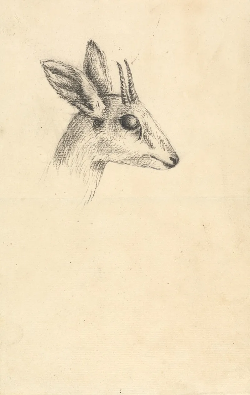 Antelope Head by Luigi Balugani - Canvas Print