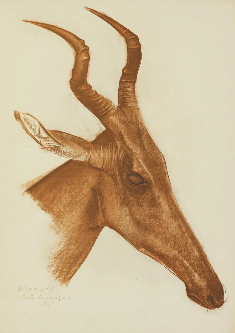 Antilope Jackson Am Dafok by Alexandre Jacovleff - Canvas Print