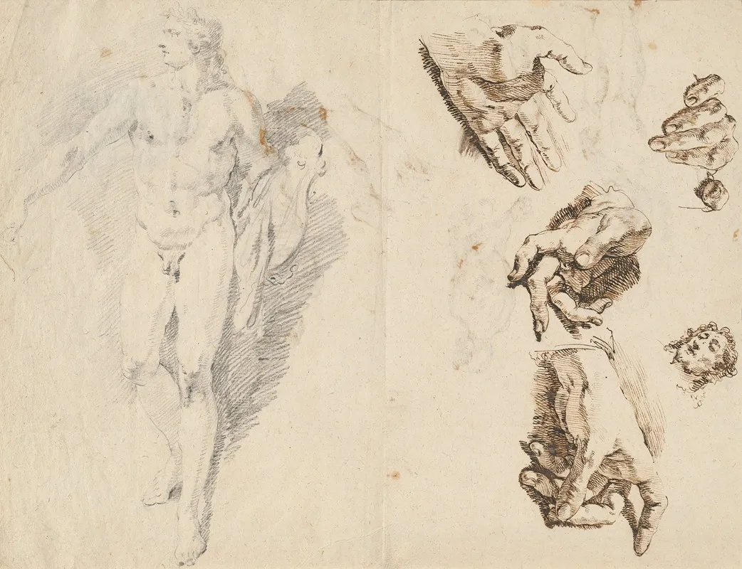 Apollo And Studies Of The Artists Own Hand Recto