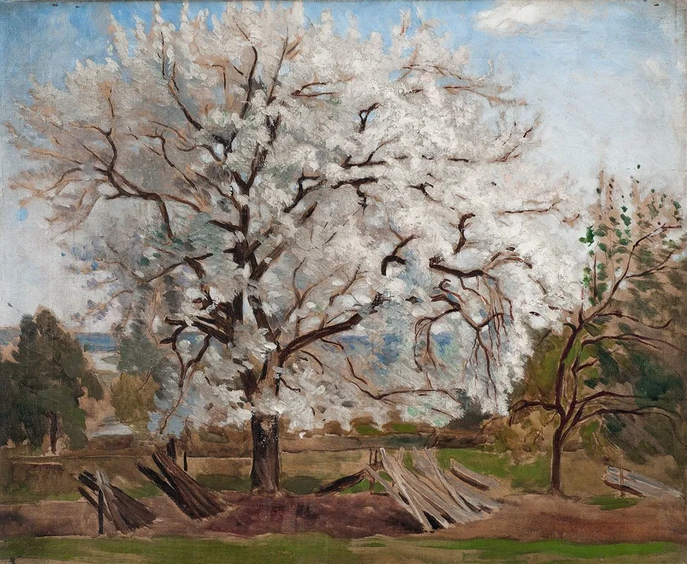 Apple Tree In Blossom by Carl Fredrik Hill - Canvas Print