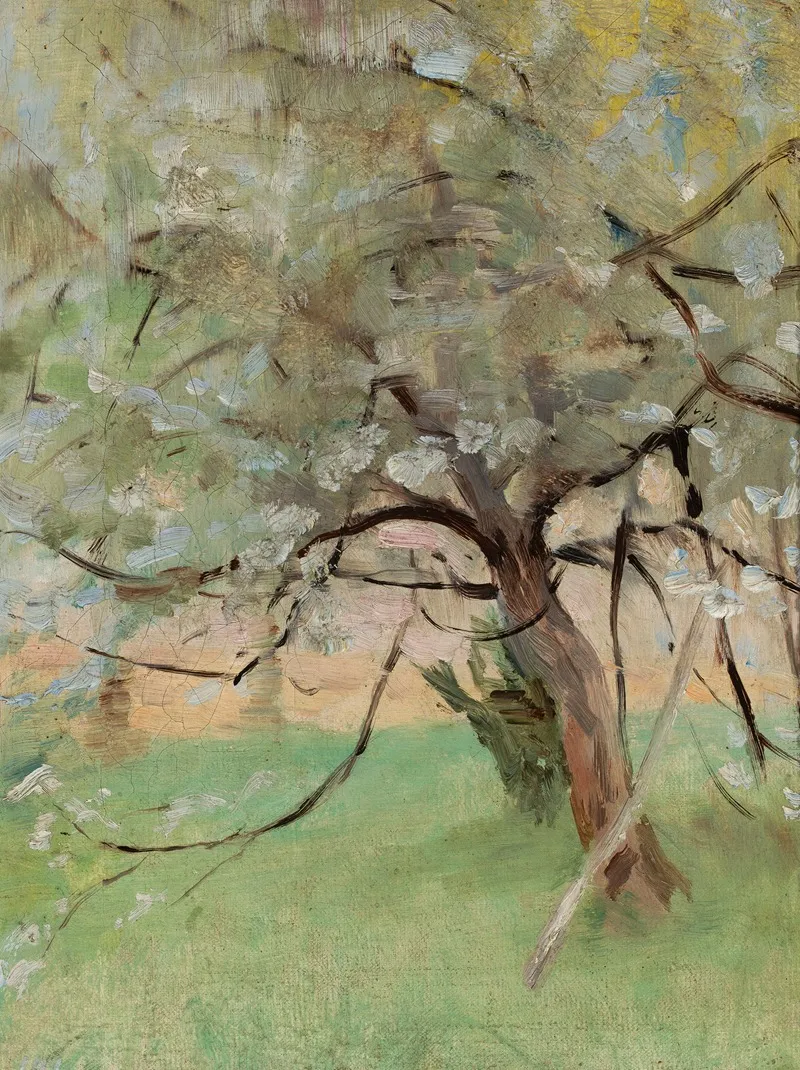 Apple Tree