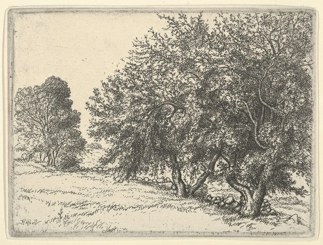 Apple Trees 2