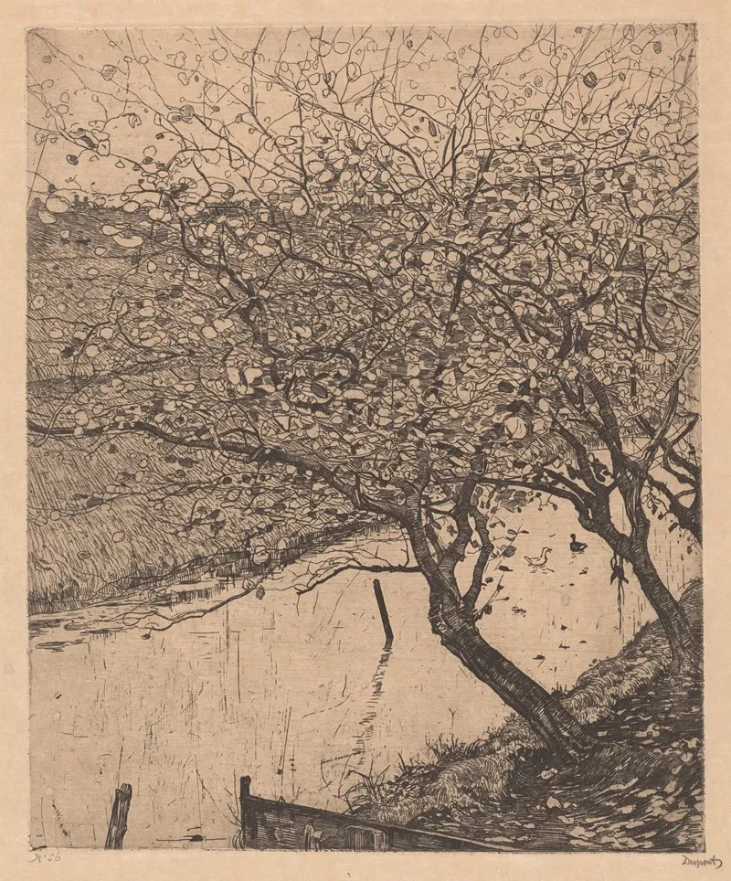 Apple Trees Along The Side Of A Ditch