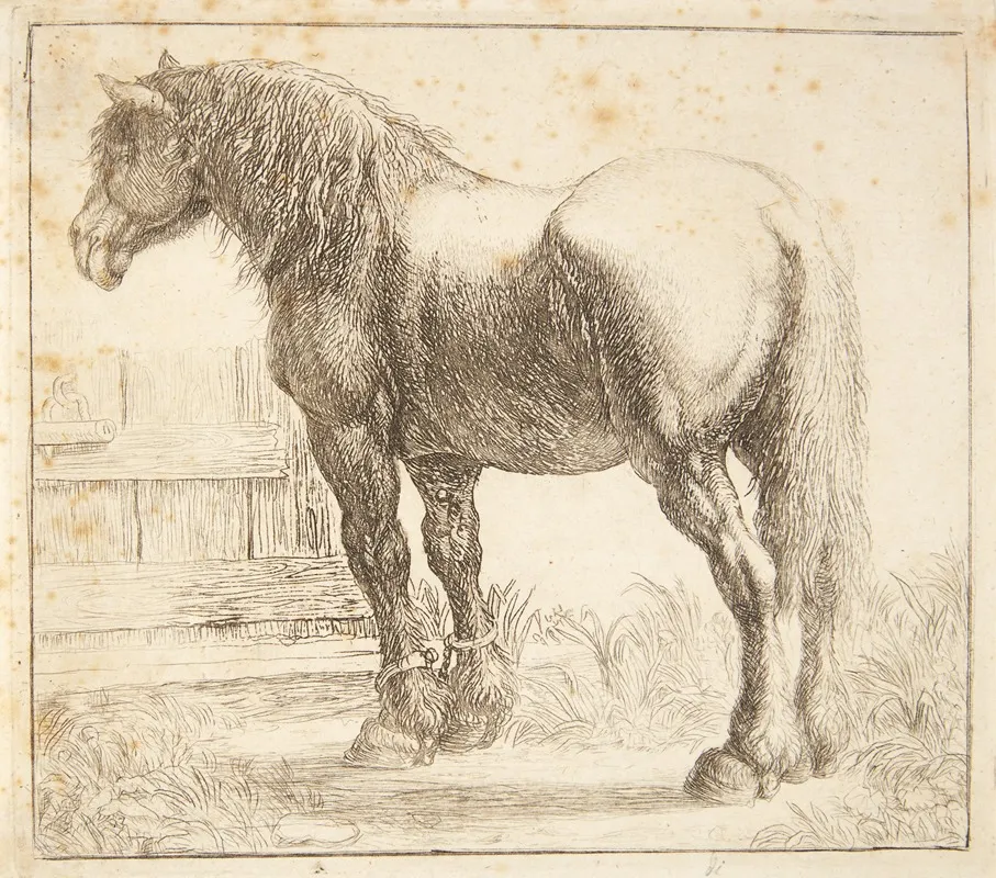 Arbejdshest Ved Et Hegn by Simon de Vlieger - Canvas Print