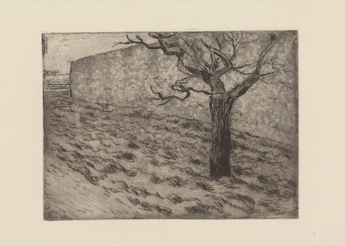 Arbre Et Terrain Laboure
