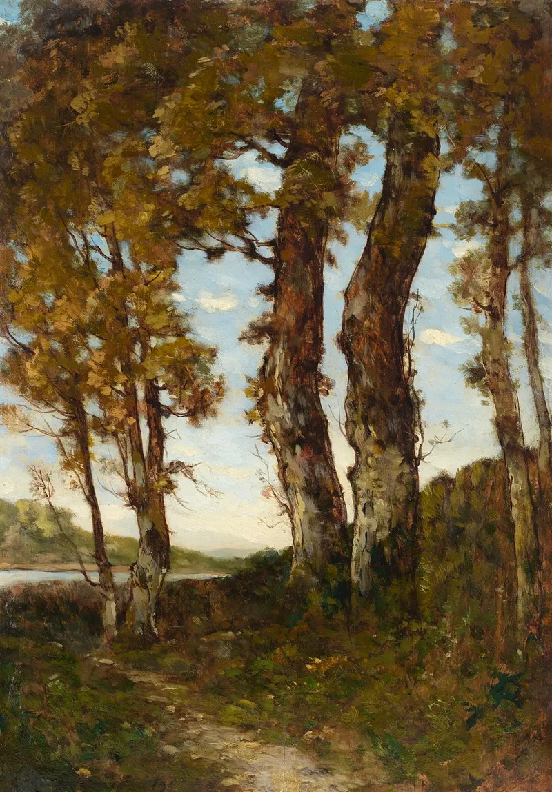 Arbres Au Bord De La Loire