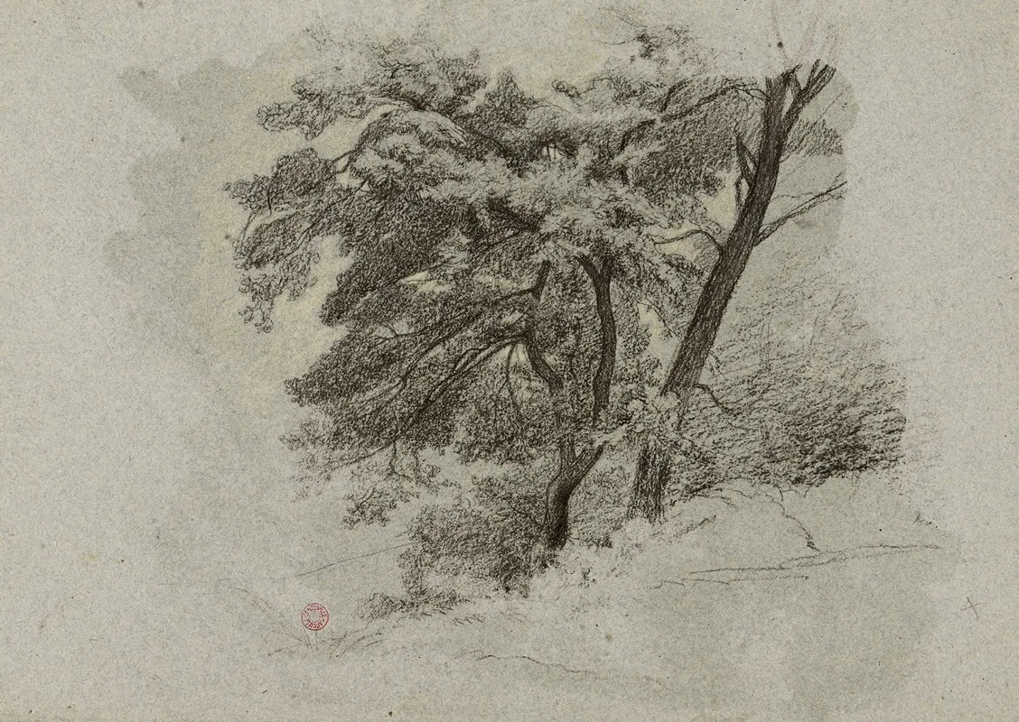 Arbres