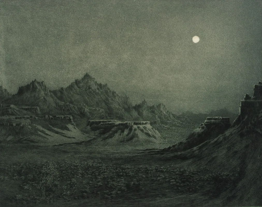 Arizona Night by George Elbert Burr - Canvas Print