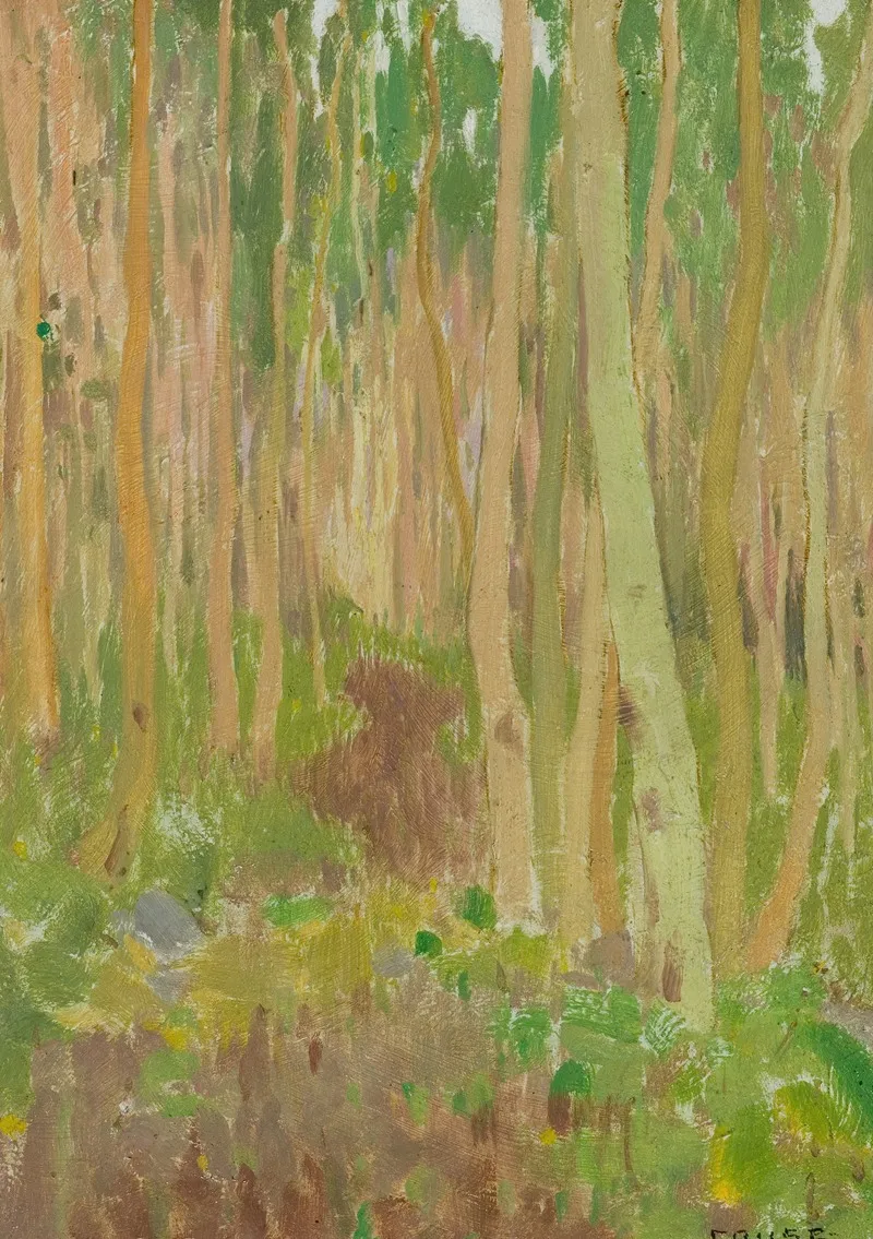 Aspen Symphony