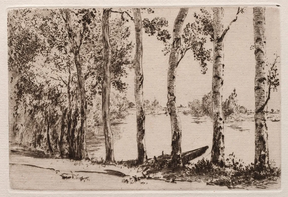 Aspens On The Bank Of The Seine
