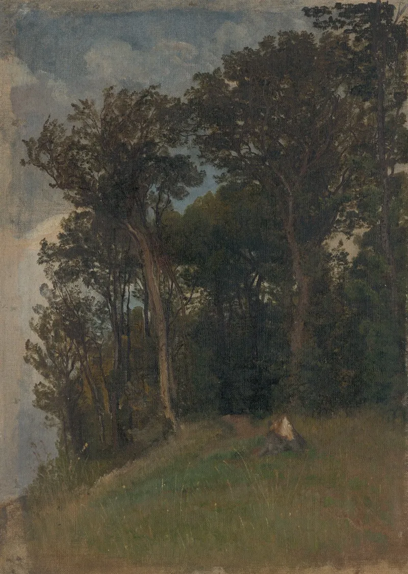 At The Edge Of A Forest by Friedrich Carl von Scheidlin - Canvas Print