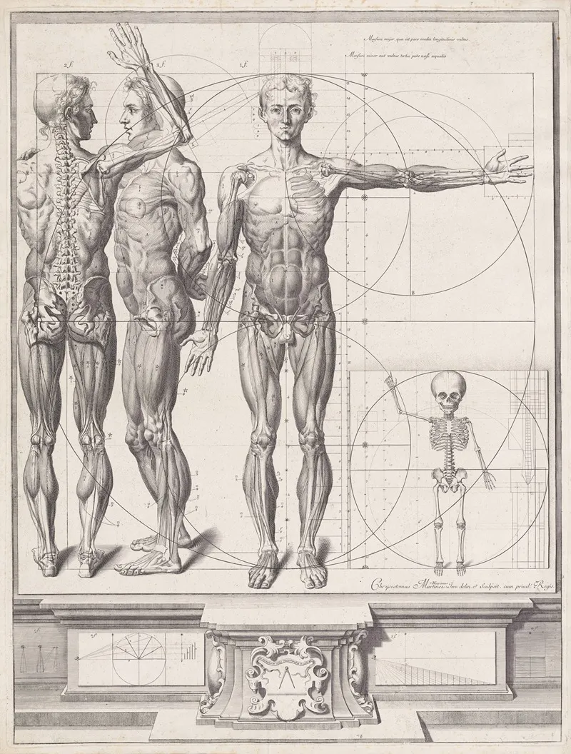 Atlas Anatomico 2 by Crisóstomo Martinez - Canvas Print