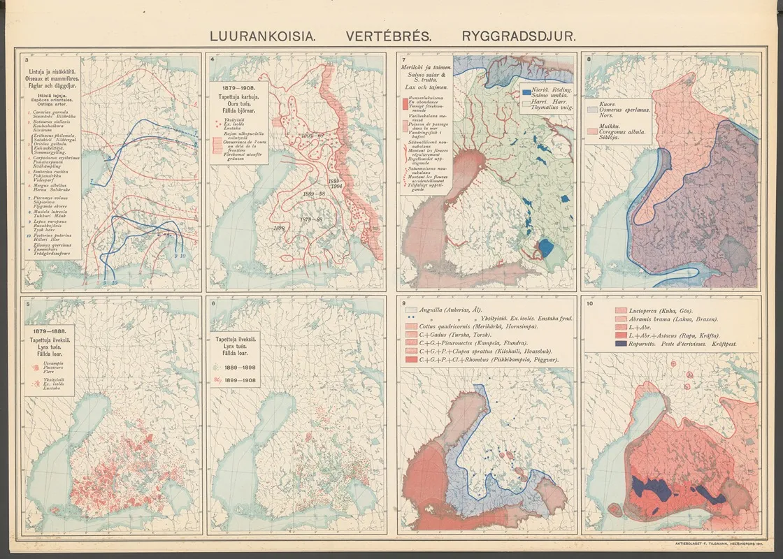Atlas Ofver Finland Pl 25 by Ferdinand Tilgmann - Canvas Print