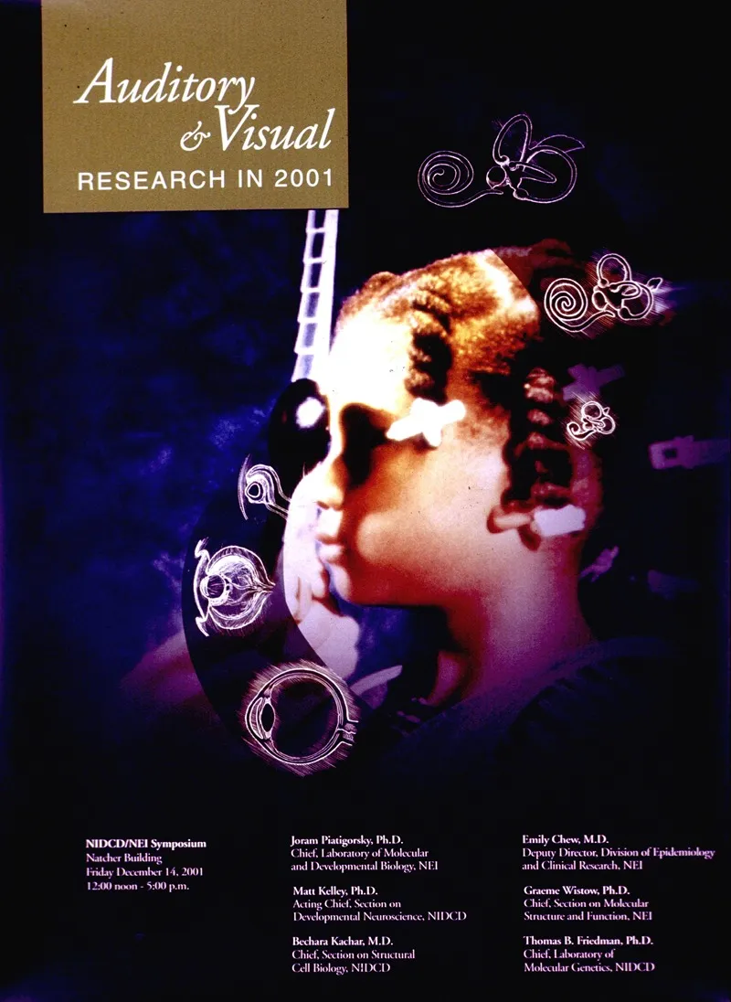 Auditory And Visual Research In 2001