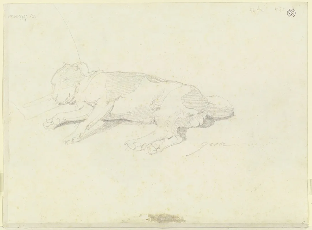 Auf Der Seite Liegender Hund