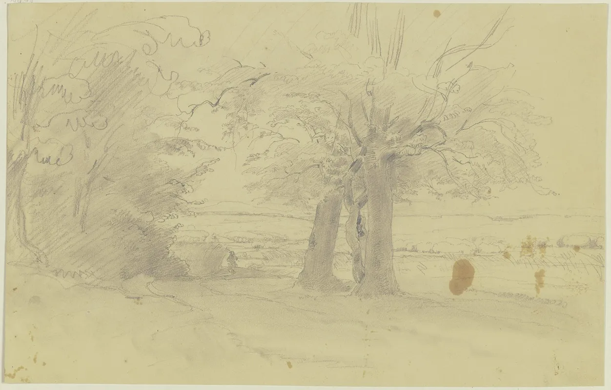 Ausblick Vom Waldrand In Eine Landschaft by Jakob Becker - Canvas Print