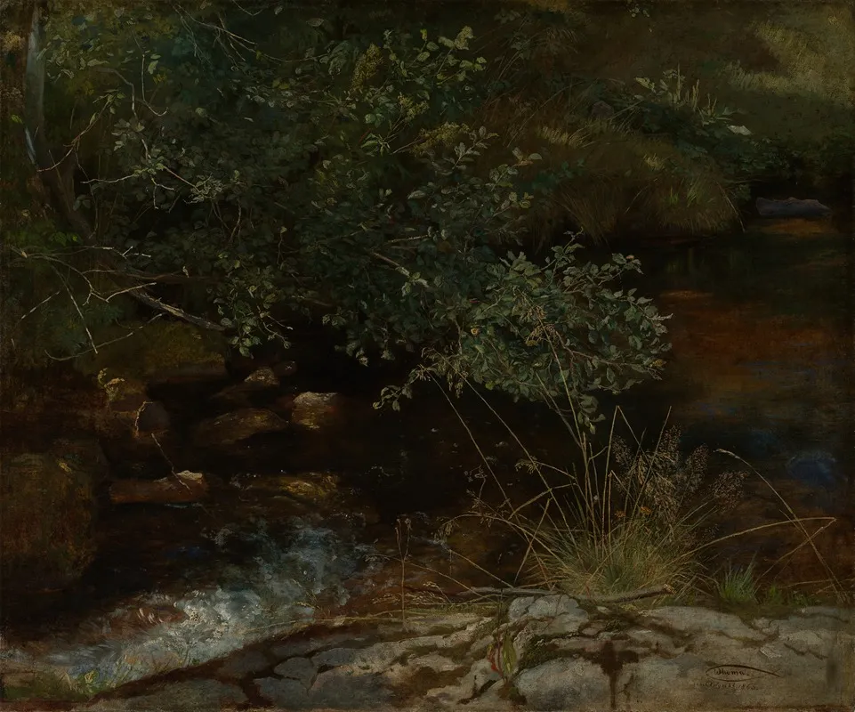 Bachufer Mit Gebusch Und Grasern