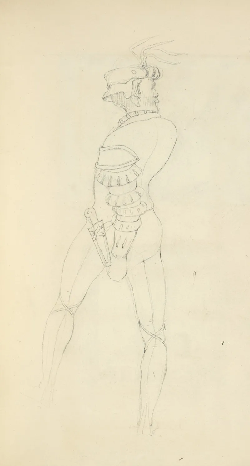 Back View Of A Man