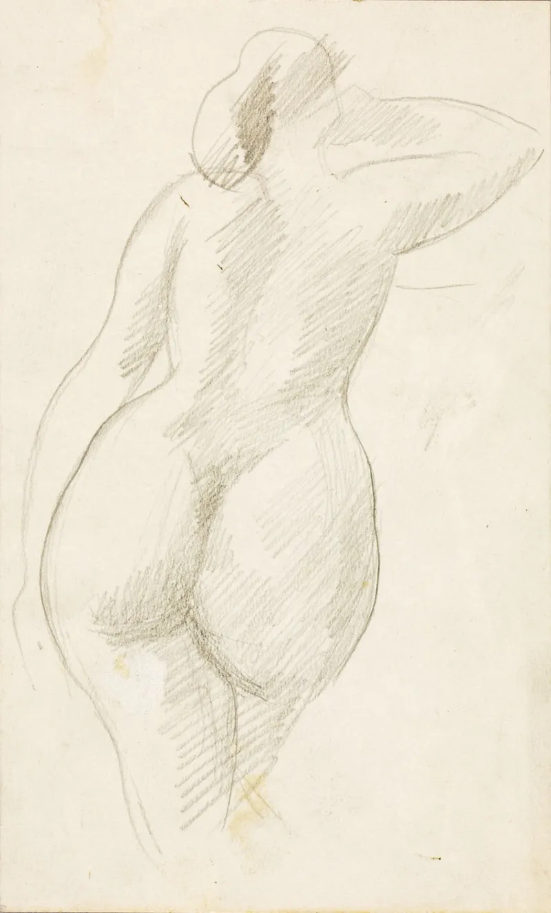 Back View Of Female Nude 3