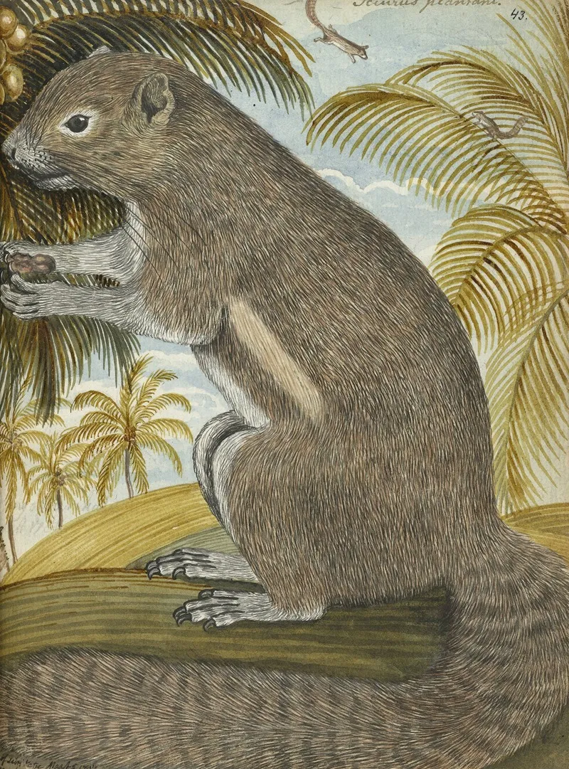 Badjing Of Sirikatje