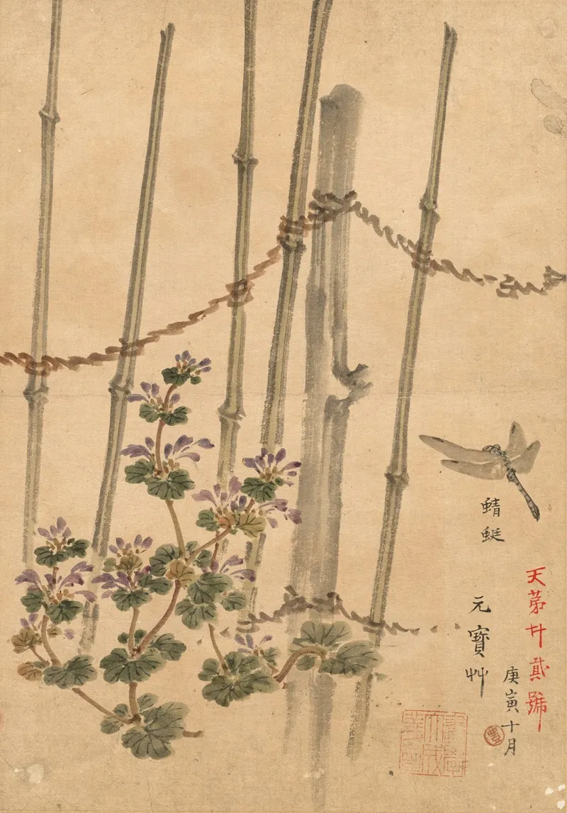 Bamboo Fence And Chrysanthemums