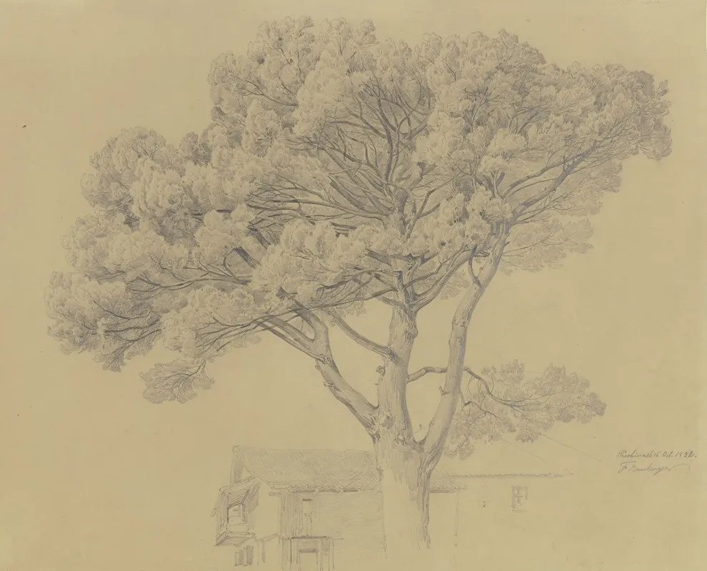 Baum Bei Einem Haus In Peschiera Del Garda