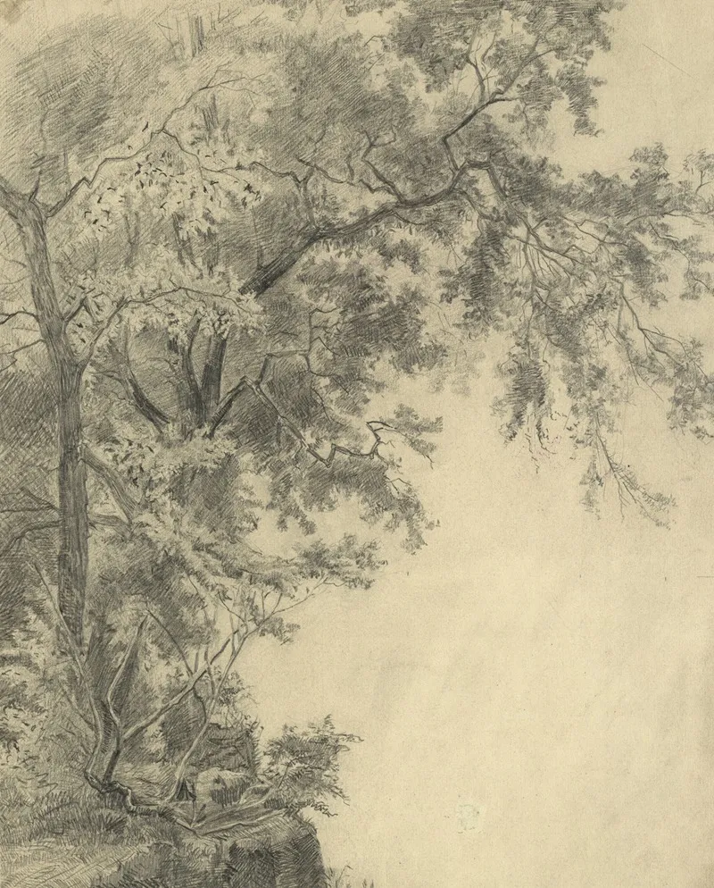 Baumgruppe An Einem Steilhang by Tina Blau - Canvas Print