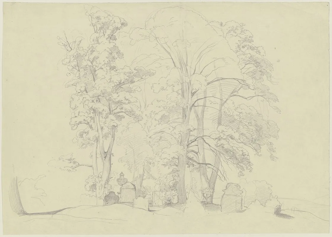 Baumgruppe Auf Einem Friedhof