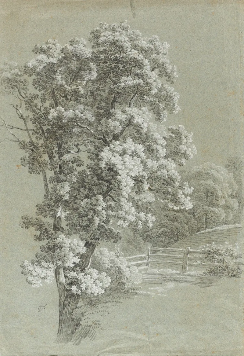 Baumstudie 9